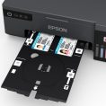 epson-l8050-servtecnica-4.jpg