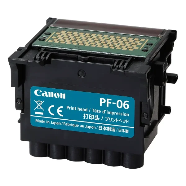 PF-06 PF-06